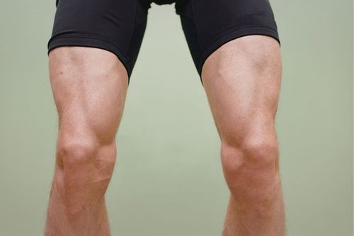 Muscles in the back of the thigh