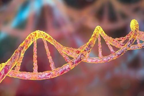 Genetic factors contribute to carpaltunnel syndrome