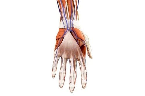 Stenosing Tenosynovitis can cause pain in either hand