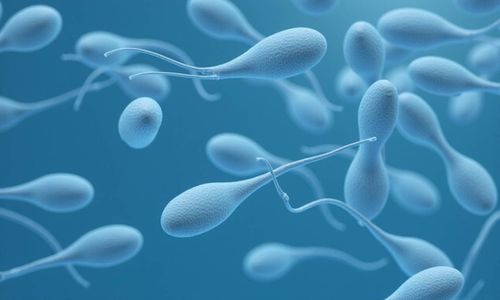 Quy trình khám hiếm muộn: Tổng hợp những điều cần biết
