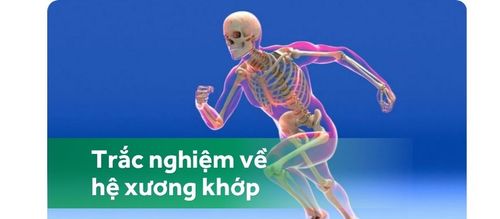 Trắc nghiệm: Kiểm tra hiểu biết của bạn về hệ xương khớp