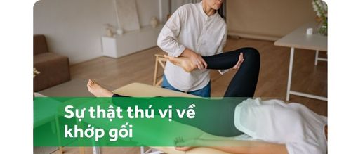 Sức mạnh và sự dẻo dai kì diệu của khớp gối