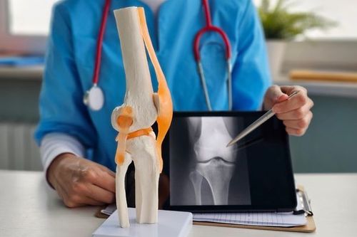 Basic Knowledge about Bone Cancer