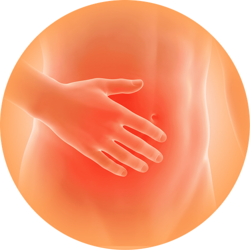 Vùng bụng dưới