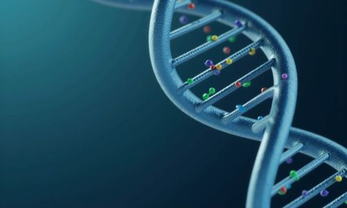 Vai trò của xét nghiệm kháng thể kháng HLA trong ghép tạng