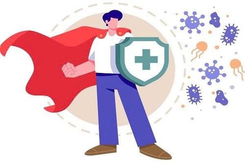 Hệ miễn dịch – Lá chắn trước tác nhân gây bệnh