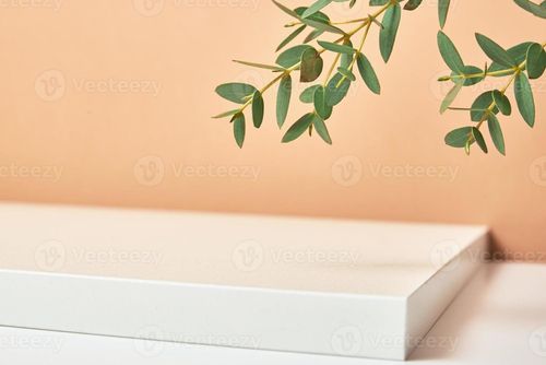 Thông báo tổ chức tọa đàm "Truyền lửa học tập: Nền tảng học vấn hôm nay - Giá trị bền vững mai sau" 