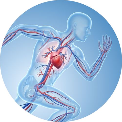 Nguy cơ tim mạch khi tập luyện thể thao quá sức