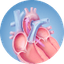 Chương trình suy tim (Heart Failure Program)	